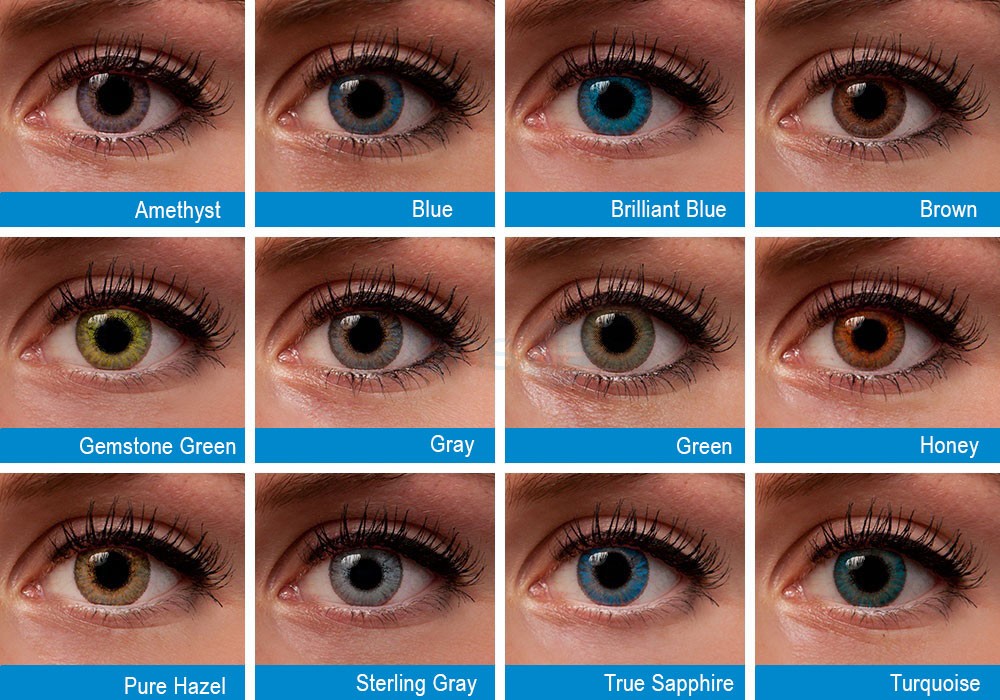  opticals in chennai| opticians in Chennai | contact lens in Chennai | sunglasses in Chennai | eye testing in Chennai | opticals in adyar | cheap and best opticals in chennai
